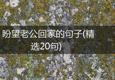 盼望老公回家的句子(精选20句)