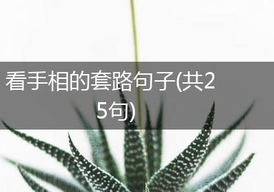 看手相的套路句子(共25句)