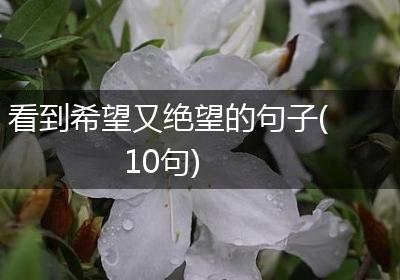 看到希望又绝望的句子(10句)
