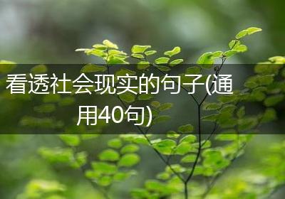 看透社会现实的句子(通用40句)