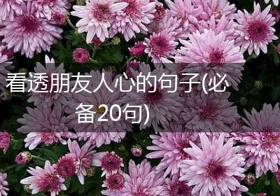 看透朋友人心的句子(必备20句)