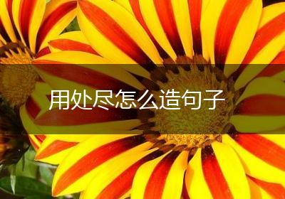 用处尽怎么造句子