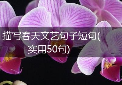 描写春天文艺句子短句(实用50句)