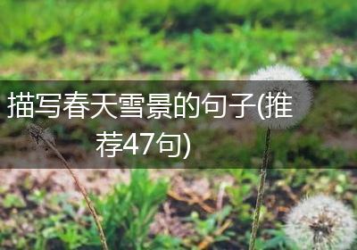 描写春天雪景的句子(推荐47句)