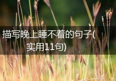 描写晚上睡不着的句子(实用11句)