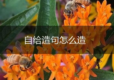 自给造句怎么造