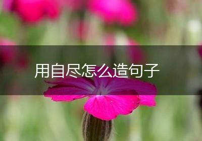 用自尽怎么造句子