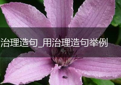 治理造句_用治理造句举例