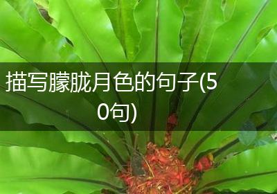 描写朦胧月色的句子(50句)