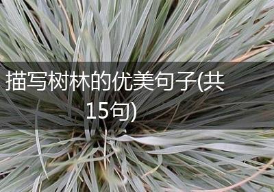 描写树林的优美句子(共15句)