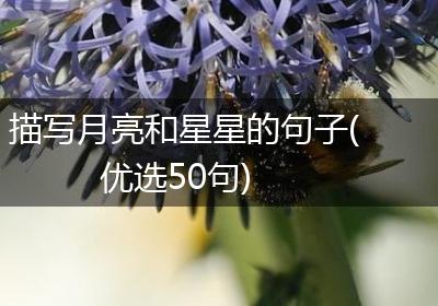 描写月亮和星星的句子(优选50句)