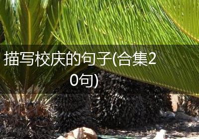 描写校庆的句子(合集20句)