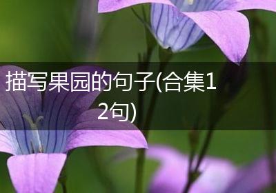 描写果园的句子(合集12句)