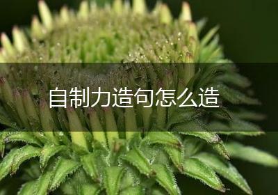 自制力造句怎么造