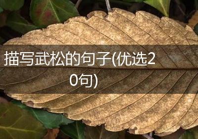 描写武松的句子(优选20句)