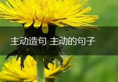 主动造句 主动的句子