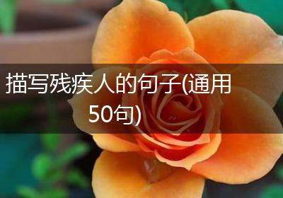 描写残疾人的句子(通用50句)