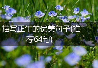 描写正午的优美句子(推荐64句)