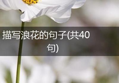 描写浪花的句子(共40句)