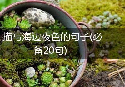 描写海边夜色的句子(必备20句)