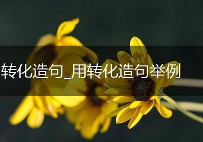 转化造句_用转化造句举例