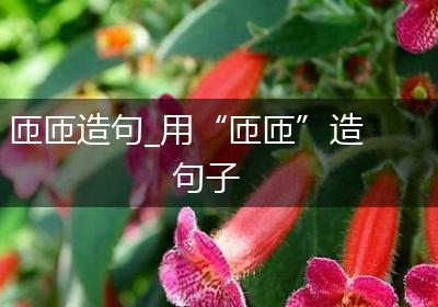 匝匝造句_用“匝匝”造句子