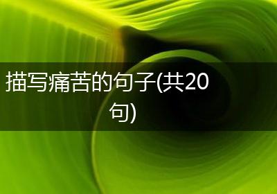 描写痛苦的句子(共20句)