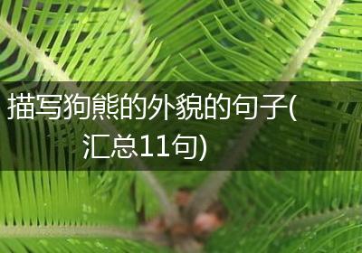描写狗熊的外貌的句子(汇总11句)