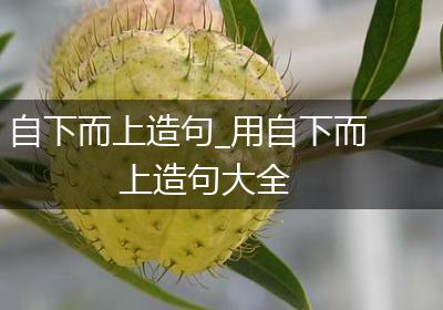 自下而上造句_用自下而上造句大全