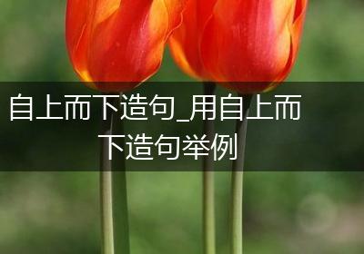 自上而下造句_用自上而下造句举例