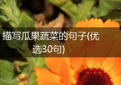 描写瓜果蔬菜的句子(优选30句)