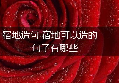 宿地造句 宿地可以造的句子有哪些