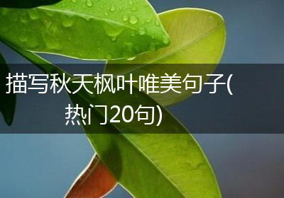 描写秋天枫叶唯美句子(热门20句)