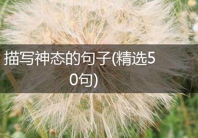 描写神态的句子(精选50句)