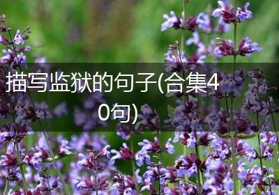 描写监狱的句子(合集40句)