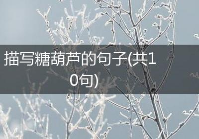 描写糖葫芦的句子(共10句)