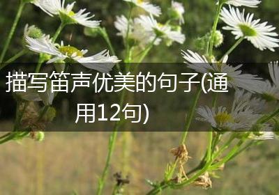 描写笛声优美的句子(通用12句)
