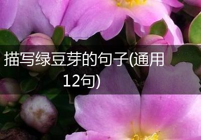 描写绿豆芽的句子(通用12句)