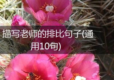 描写老师的排比句子(通用10句)