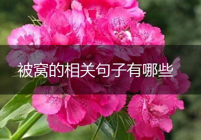 被窝的相关句子有哪些