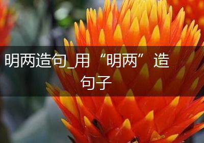 明两造句_用“明两”造句子