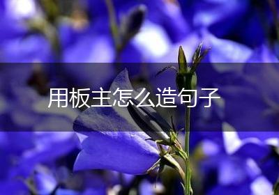 用板主怎么造句子