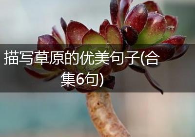 描写草原的优美句子(合集6句)