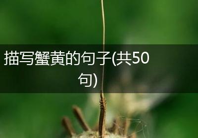 描写蟹黄的句子(共50句)