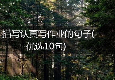 描写认真写作业的句子(优选10句)