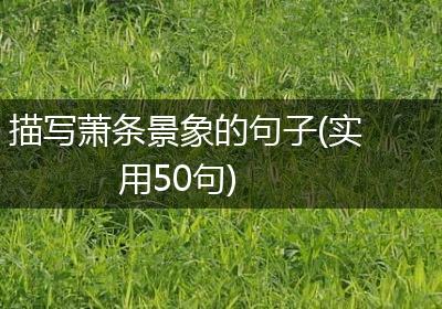 描写萧条景象的句子(实用50句)