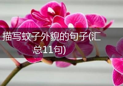 描写蚊子外貌的句子(汇总11句)