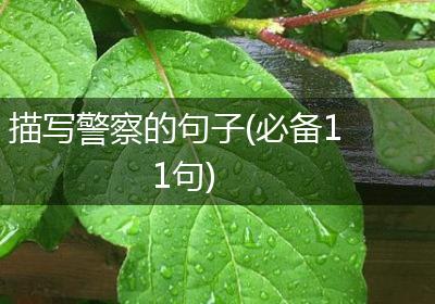 描写警察的句子(必备11句)