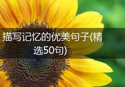 描写记忆的优美句子(精选50句)