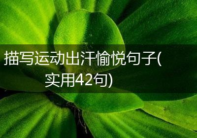 描写运动出汗愉悦句子(实用42句)